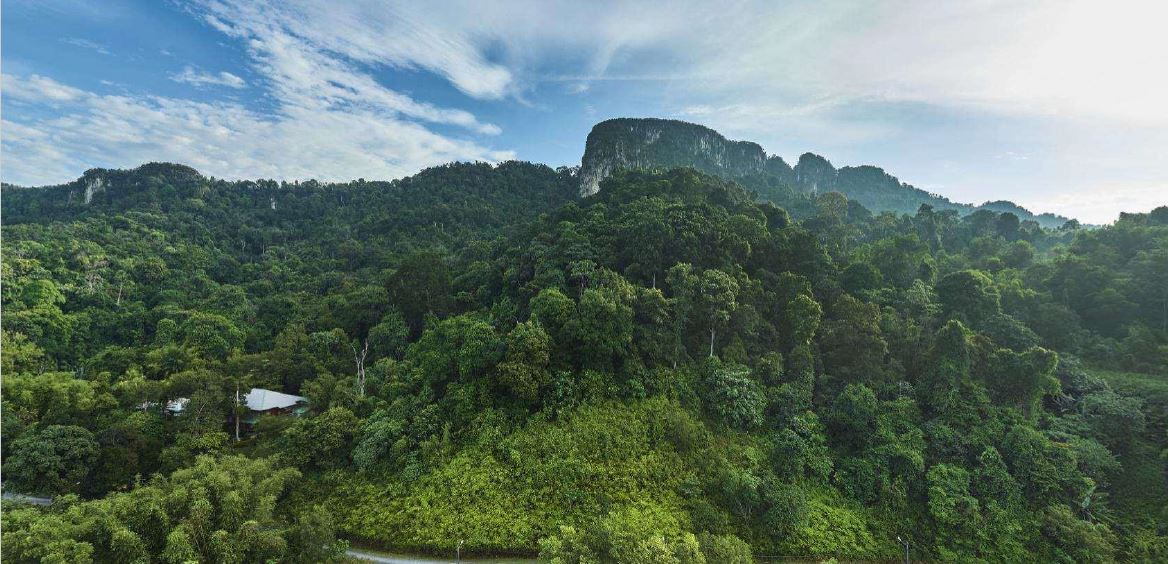 Bukit Tabur forest view near DaMai Melawati